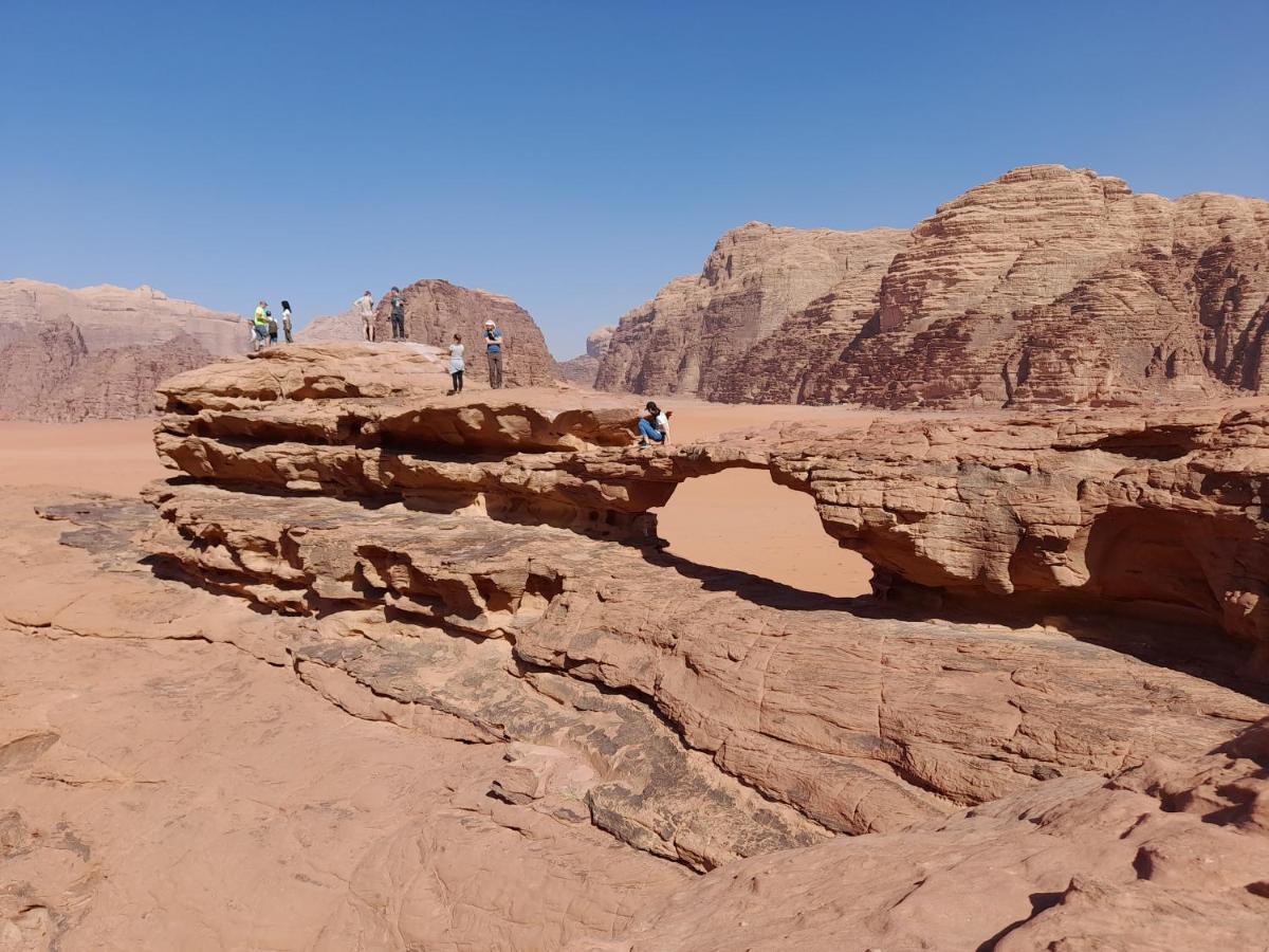 Wadi Rum camels camp Eksteriør billede