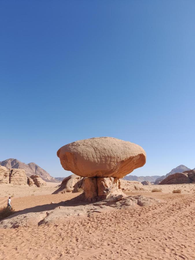 Wadi Rum camels camp Eksteriør billede